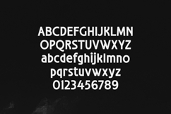 GROOVIFY Vintage Sans Serif Font Product Image 2