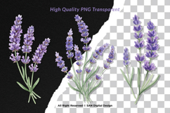 15 Bundle Watercolor Lavender Flower Purple Rustic Vintage Product Image 2