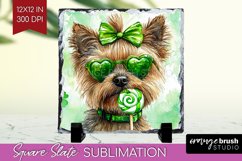 Cairn Terrier St. Patricks Day Dog Slate PNG Dog Square Product Image 1