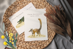 Australia Flora and Fauna Hand Drawn Illustration Set Product Image 9