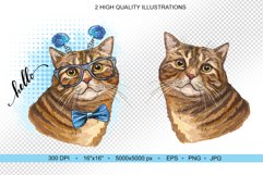 Funny Tabby Cat illustration Product Image 4