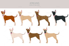 Africanis clipart Product Image 2