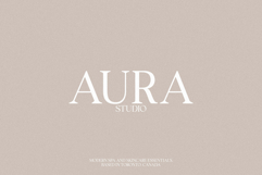 Valkirie - Classical Serif Product Image 2