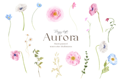 Watercolor flowers - Aurora Product Image 2