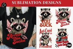 Funny Valentine Raccoon PNG - 4 Designs Product Image 1