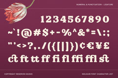 Nolkair - Bold Modern Swashes Retro Serif font Product Image 3