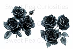 Flowers, Black, Ephemera, PNG, watercolor, Clipart Product Image 2