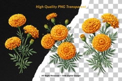 15 Bundle Watercolor Marigold Rose Flower Floral Botanical Product Image 2