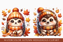 watercolor autumn hedgehog clipart, autumn hedgehog Clipart Product Image 1