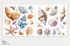 Shell digital paper Product Image 2