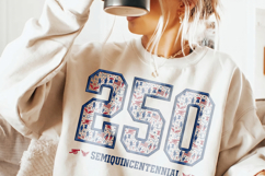 USA Semiquincentennial PNG, 250th Anniversary Product Image 2