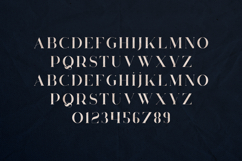 Huova Elegant Modern Serif Font Product Image 2