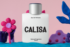 Tumbler Product Image 2