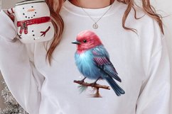 Christmas Birds Clipart , Christmas Birds Clipart Product Image 2