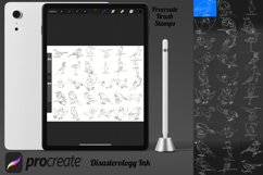Birds Outlines Set 1 Procreate Brush Stamps, 30 Bird Product Image 2
