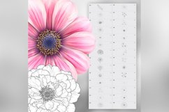 130 Procreate Flowers Stamp Brushes Product Image 8