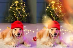 50 Christmas Star Light Overlays Product Image 2