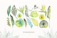 Delicate Tropics Watercolor Clipart Collection Product Image 2