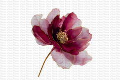 12 Burgundy Red and Gold Flowers PNG Product Image 1