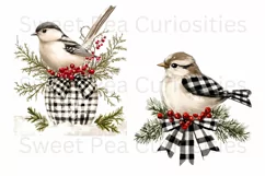 Christmas, Birds, Ephemera, PNG, watercolor, Clipart Product Image 2
