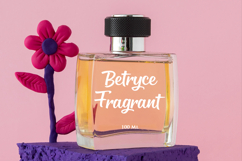 Boarding Quickly Product Image 2