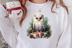 Christmas Birds Clipart , Christmas Birds Clipart Product Image 2