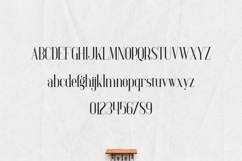 Baleine Elegant Modern Serif Font Product Image 2