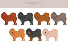 Tibetan Mastiff clipart Product Image 5
