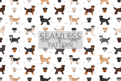 Scoodle, Scottiepoo dog mix Product Image 6