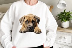 Peeking Dog Collection Clipart Product Image 2