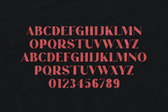 Story Type Bold Headline Serif Font Product Image 2