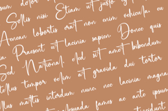 Saitingan a Handwritten Font Product Image 2