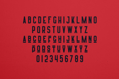 Harrison Organic Bold Display Font Product Image 2