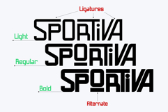 Sportiva - Modern Sport Sans Serif Font Family Product Image 2