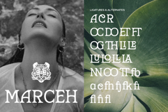 Marzena Display Font Product Image 2