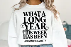 What a long year svg | Summer Svg | Shirt Svg Product Image 1