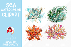 32 Summer Seashells Watercolor Cliparts Product Image 3
