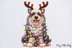 Christmas Dog Clipart Bundle PNG Product Image 6