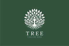 Tree Logo Design Vector Illustration Product Image 2