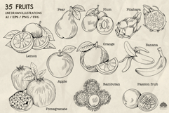 Fruits Line Art Illustrations SVG PNG EPS Ai Product Image 2