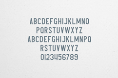 Avocado Bold Vintage Display Sans Font Product Image 2