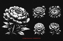 10 Bundle Dark Art Peony Flower Garden Floral Peonies Product Image 3
