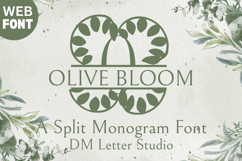 Olive Bloom Split - Monogram Serif Split Monogram Font Product Image 1