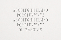 Thorn Tale Elegant Modern Serif Product Image 2