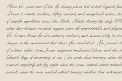 Vesper Modern Signature Script Font Product Image 2