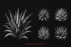 10 Bundle Dark Art Aloe Vera Cactus Plant Botanical Floral Product Image 3