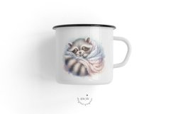 Baby Raccoon Product Image 2