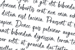 Delica Sitteen Casual Handwritten Font Product Image 2