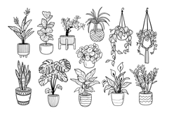 House Plants Line Art, Potted and Hanging Botanical Clipart Product Image 3