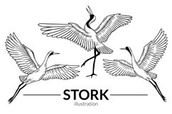 24 Set Bundle Stork Crane Swan Wild Animal Bird Hand Drawn Product Image 3